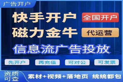 竞价广告策略案例分析